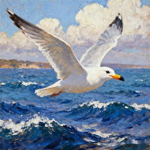 海鸥（热门版）