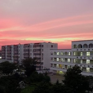 周兴哲-永不失联的爱