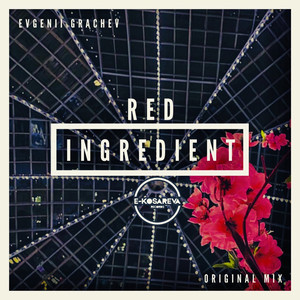 Red Ingredient (Original Mix)