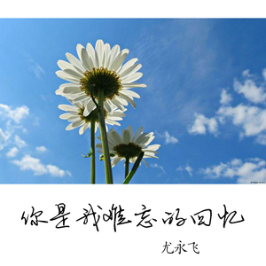 你是我难忘的回忆