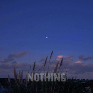 Nothing