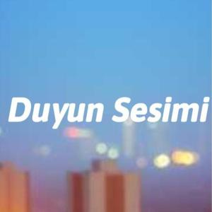 Duyun Sesimi