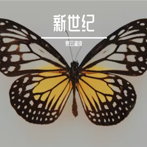 皇帝新衣里不会哭的小孩伴奏