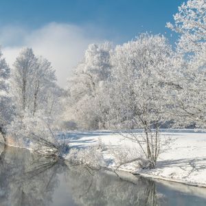 白雪却嫌春色晚