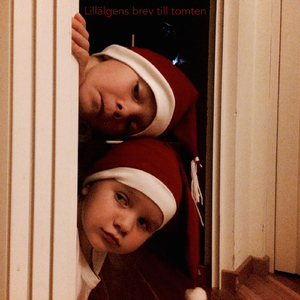 Lillälgens Brev Till Tomten