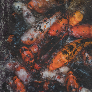 Baffled By Obscurities