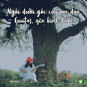 Tích Tịch Tình Tang Vài Nốt Đàn Guitar Giản Dị