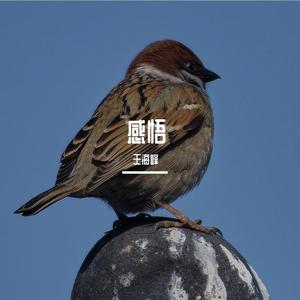 感悟Live（翻自 祁隆）