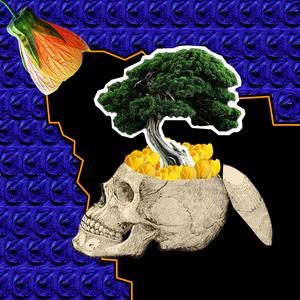 寄生虫 (feat. 星界)