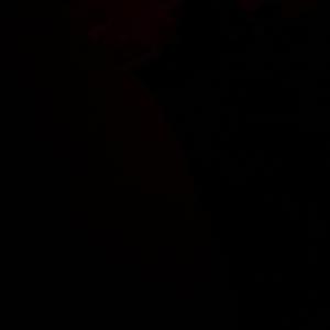 Dog Bros (2lo Tae x lila)