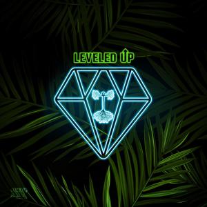 Leveled Up