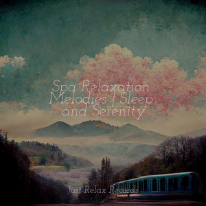 Mossy Canopy Memories