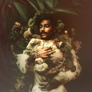 THE END OF THE AMYGDALA