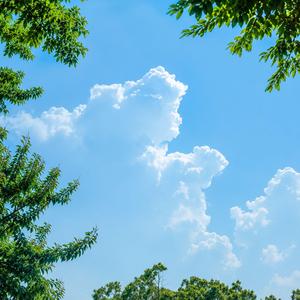 Clear Sky Mind