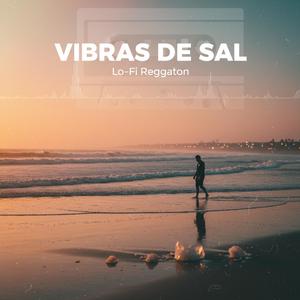 VIBRAS DE SAL