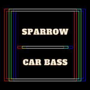 Car Bass