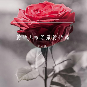 最爱的人给了最爱的痛