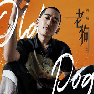 老狗