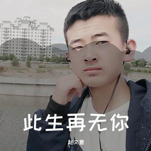 此生再无你