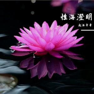 WAV文件_性海澄明_107081497570700290_1773459402134