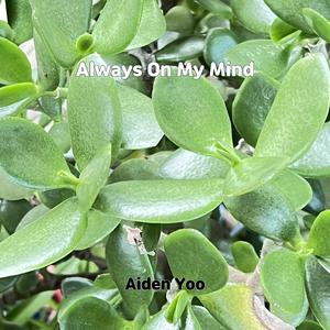 Windows 95 Startup Sound