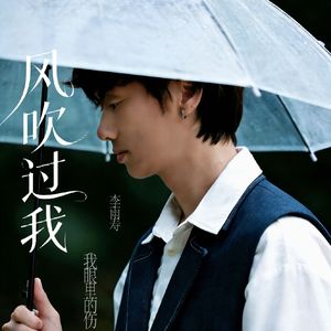 风吹过我眼里的伤