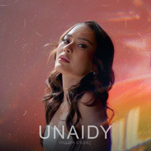 Unaidy