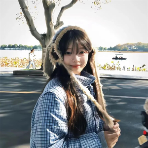 南有乔木，不可休思