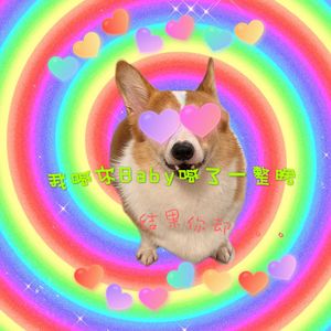 我喊你宝贝喊了整夜，结果你却。。。。。。