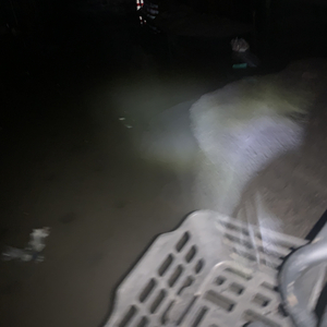 博学雅行 智慧通达（服从性测试）