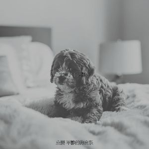 抚慰的冷静的狗回忆