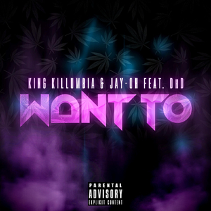 Want To (feat. DhD)
