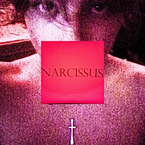 narcissus