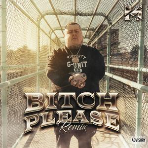 Bitch Please (Remix)