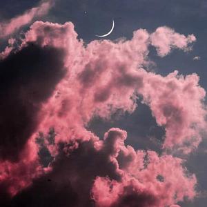 遇见你，便若春衣宿花