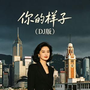 你的样子(DJ版)