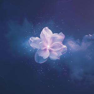 마음 한 송이 A Bloom in My Heart