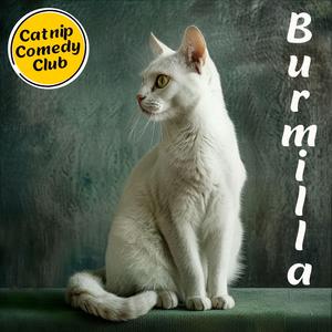 Burmilla