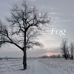 Fog