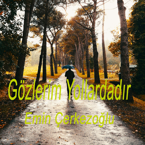 Gözlerim Yollardadır