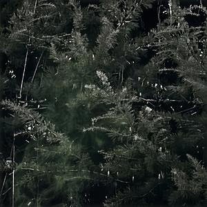 וינו (feat. דני ג'י)