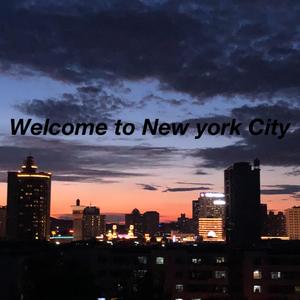 Welcome to New York City Vol.2