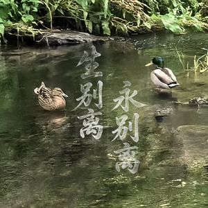 生别离·永别离