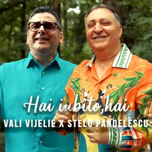 Hai iubito,hai (feat. Stelu Pandelescu)