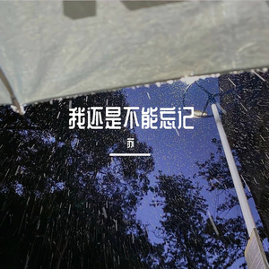 我还是不能忘记