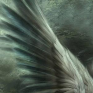 სააღდგომო ანგელოზი