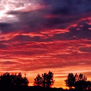 新录音 15_013016_track0_013016