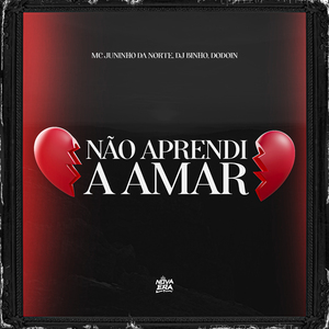 Não Aprendi a Amar