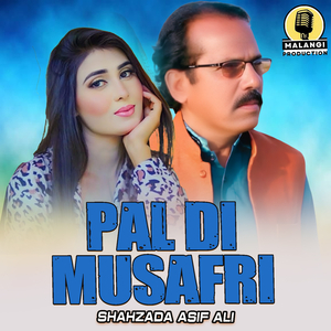 Pal Di Musafri (1)
