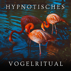 Hypnotisches Vogelritual, Pt. 59